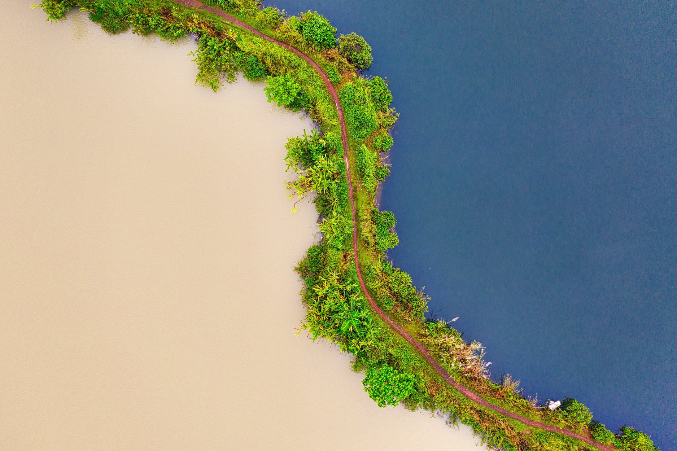 Green and Blue Water Separated by Land